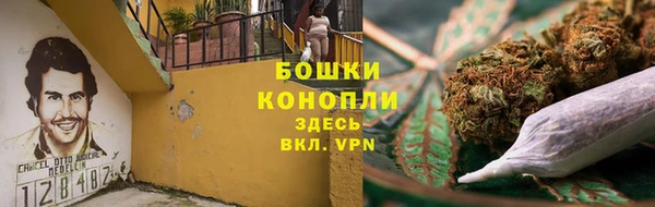 ГАЛЛЮЦИНОГЕННЫЕ ГРИБЫ Алексин