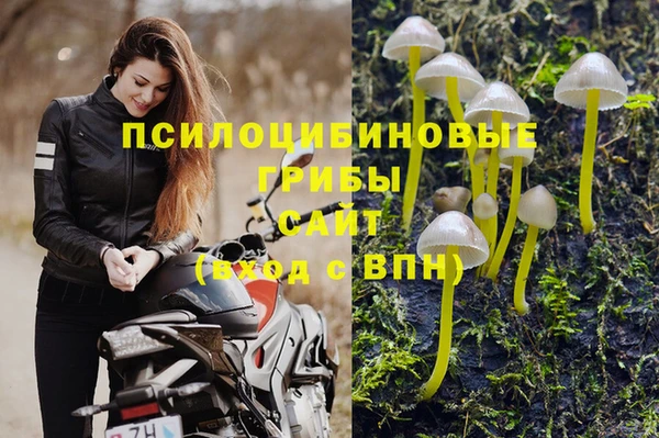 СК Абаза