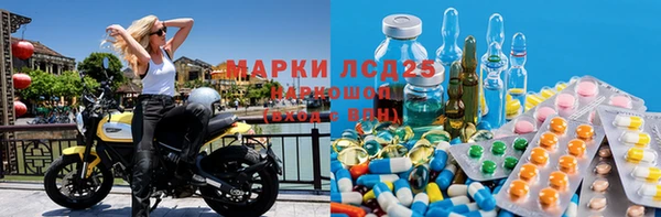 ГАЛЛЮЦИНОГЕННЫЕ ГРИБЫ Алексин