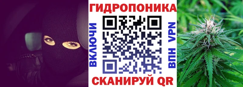 Шишки марихуана сатива  omg сайт  Аткарск 